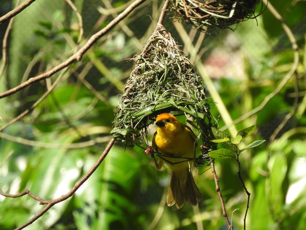 Photograph by Cristina Bosio Ferrer