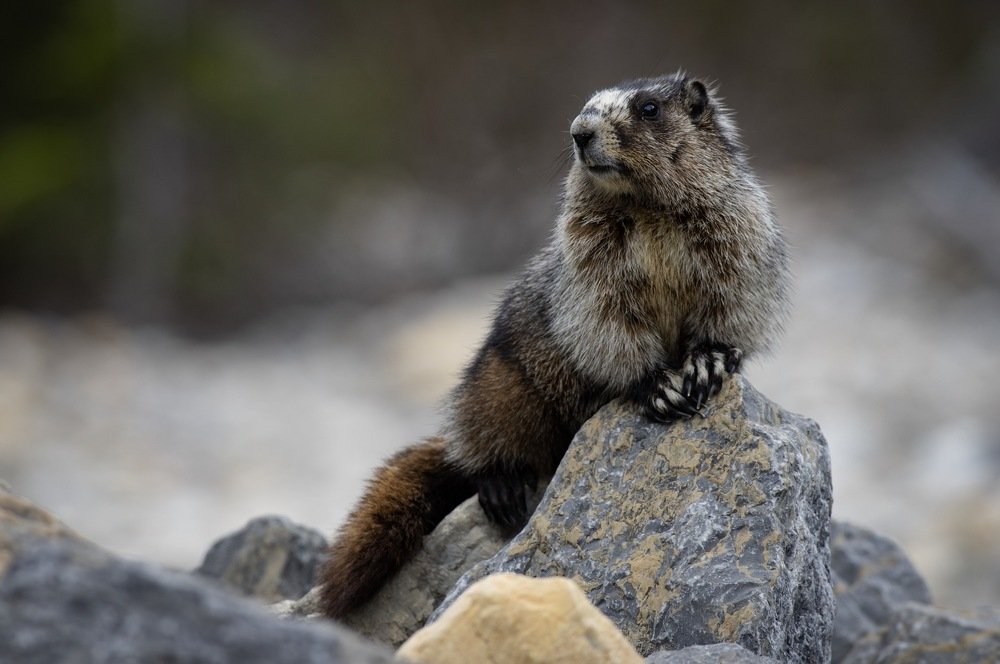 Photograph by Le pennetier