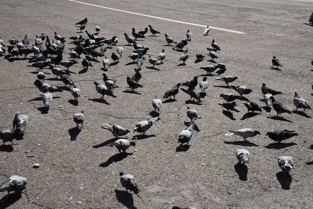 Photograph by Людмила Воропаева