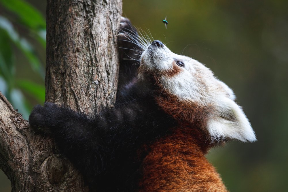 Photograph by Natalia Bubochkina