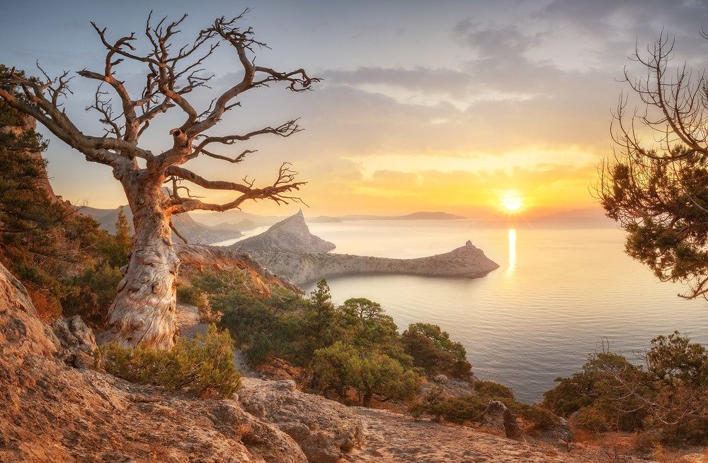 Осеннее утро