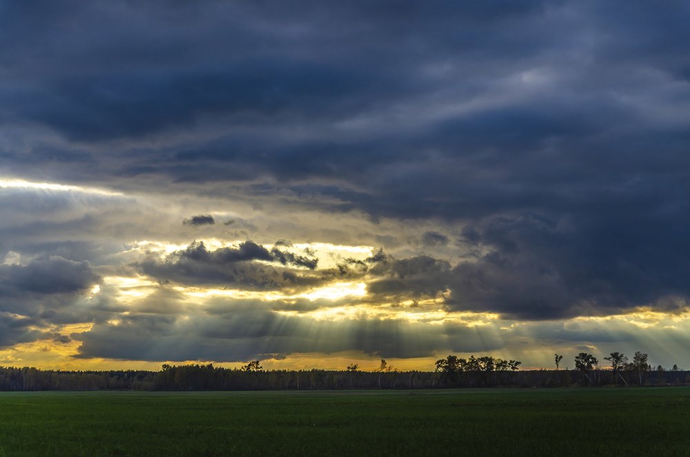 Photograph by Александр Щербаков