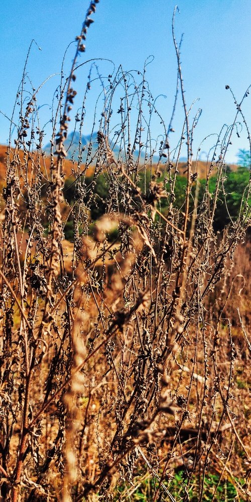 Photograph by Кристина