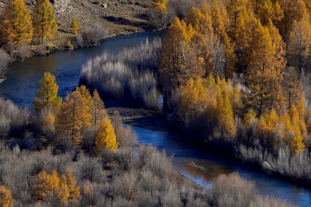 Алтай. Кош-Агач. 1-ое октября.