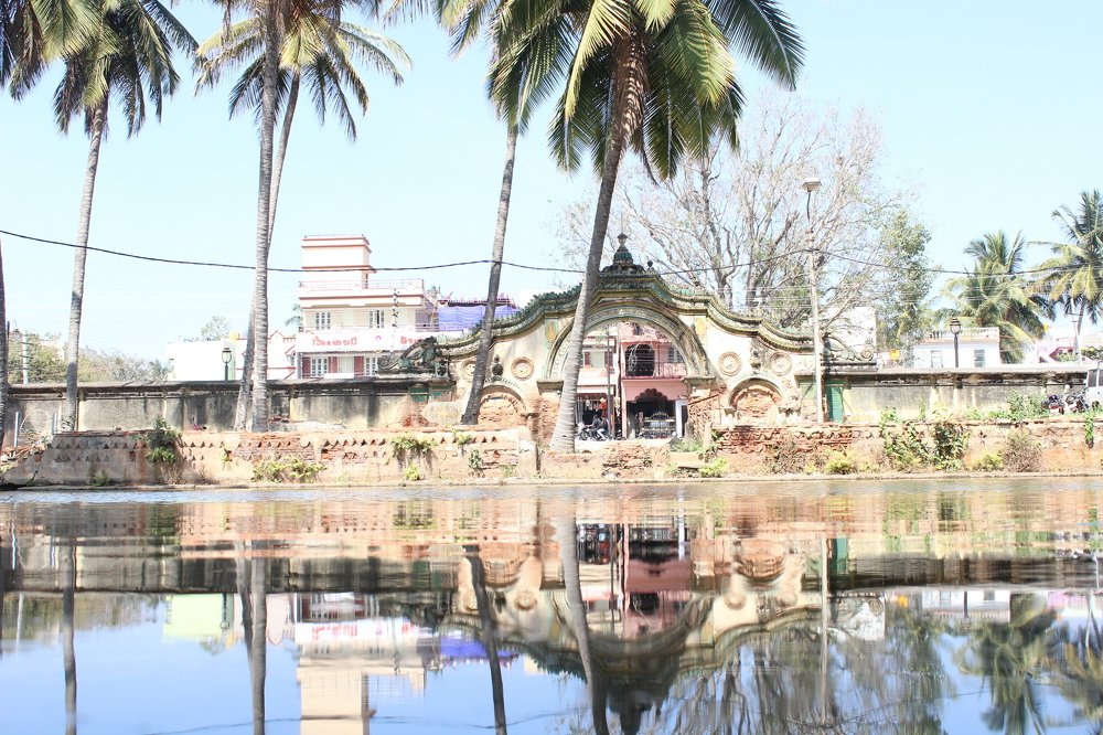 Photograph by ABHIJITH D