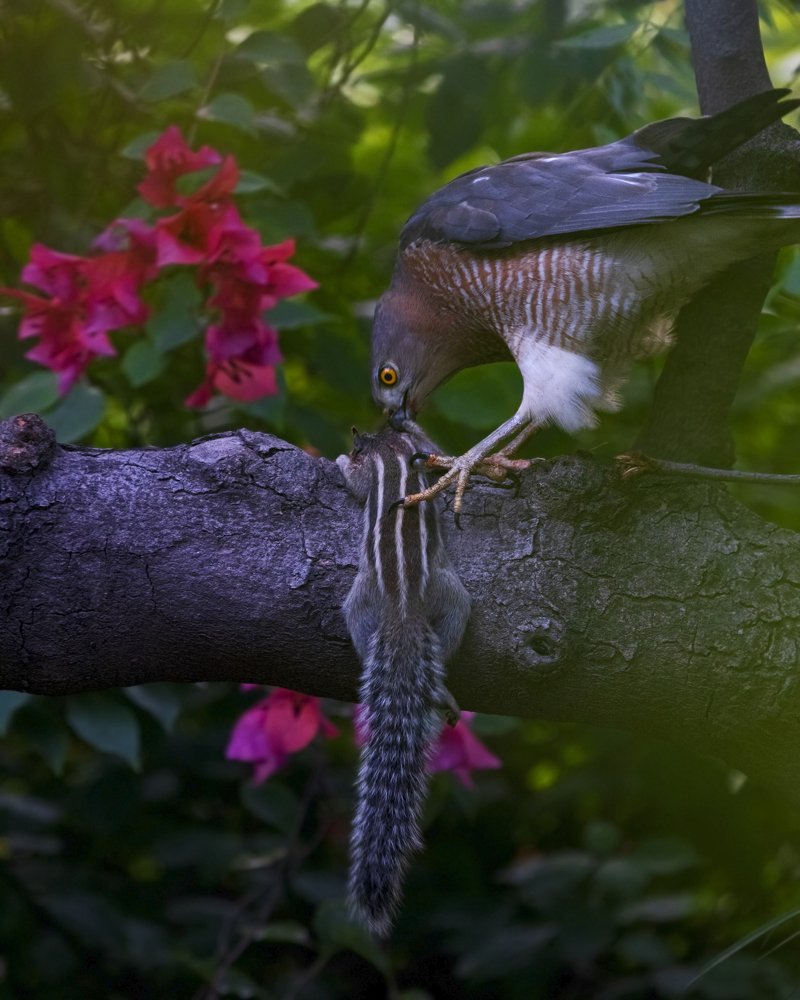 Photograph by hitesh chawla