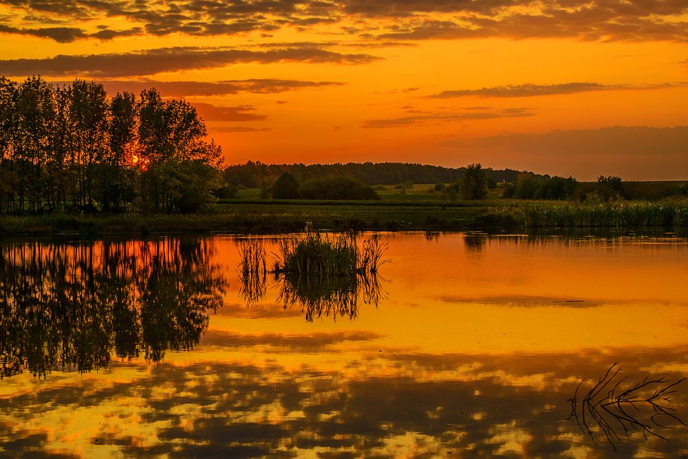 Photograph by Владислав Никишин