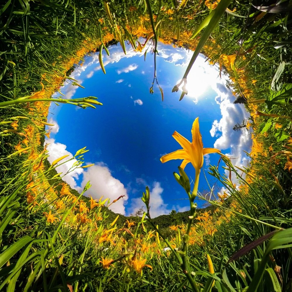 Photograph by Yang-Lin Tai