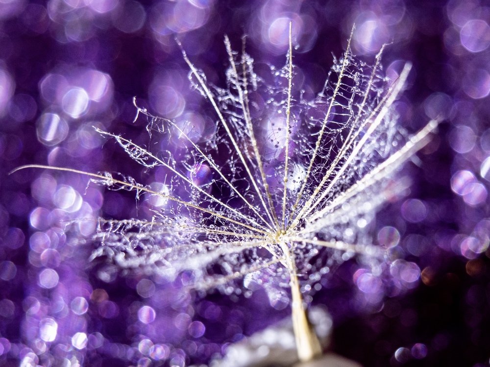 Photograph by Олеся Семенова