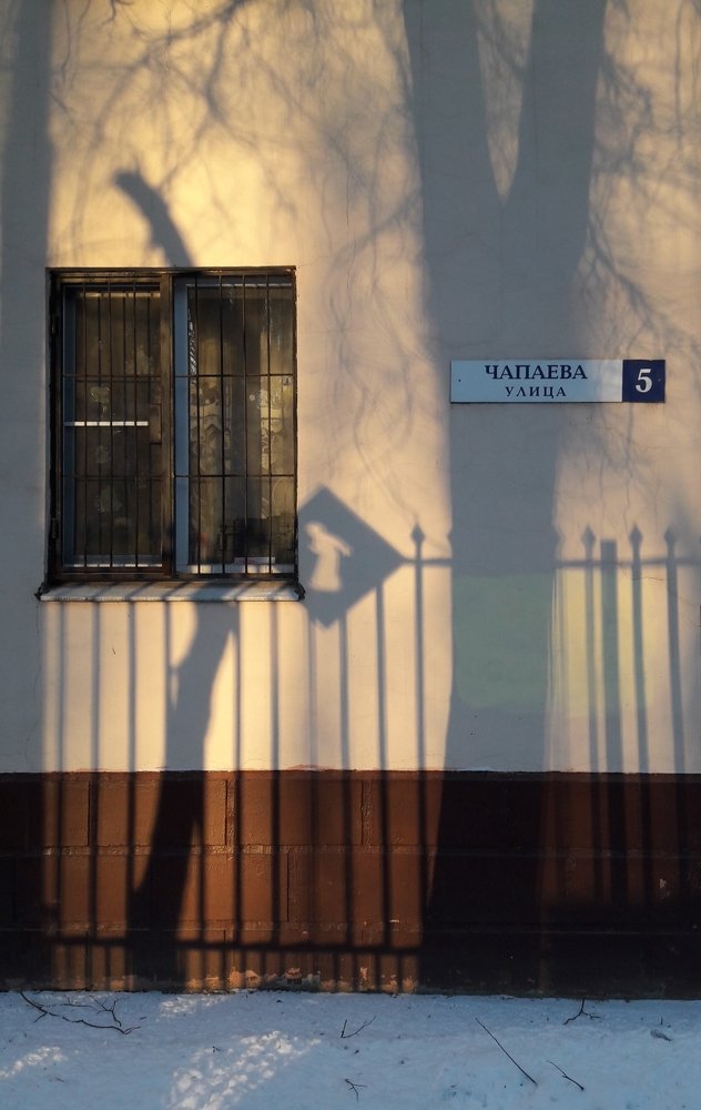 Photo #4285968