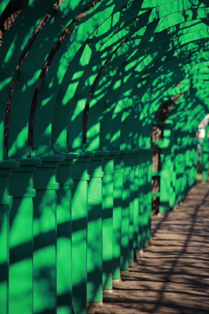 Photograph by Ольга Иртуганова