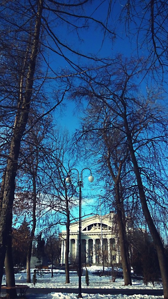 Photo #4286036