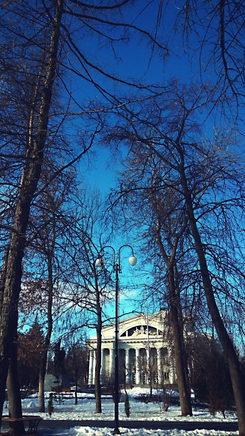 Photo #4286036