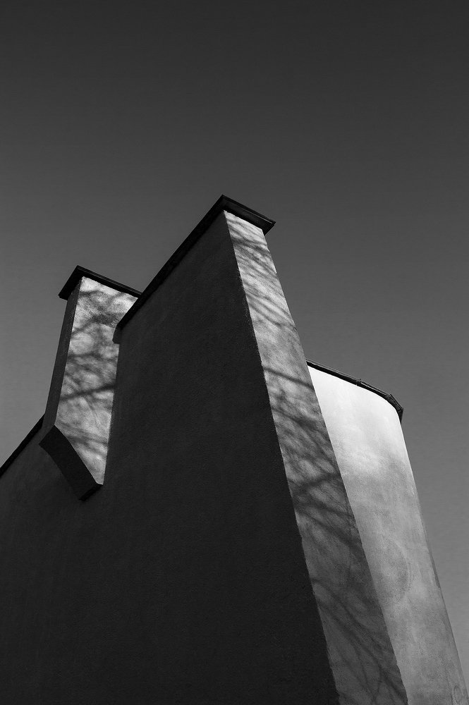 Photograph by Anastasia Rotkovich
