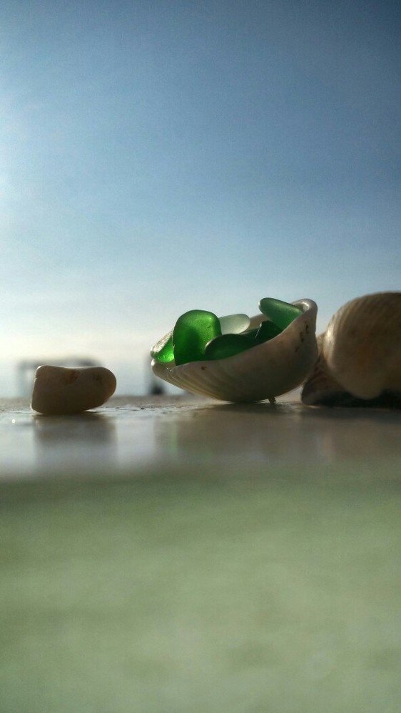 Морские сокровища