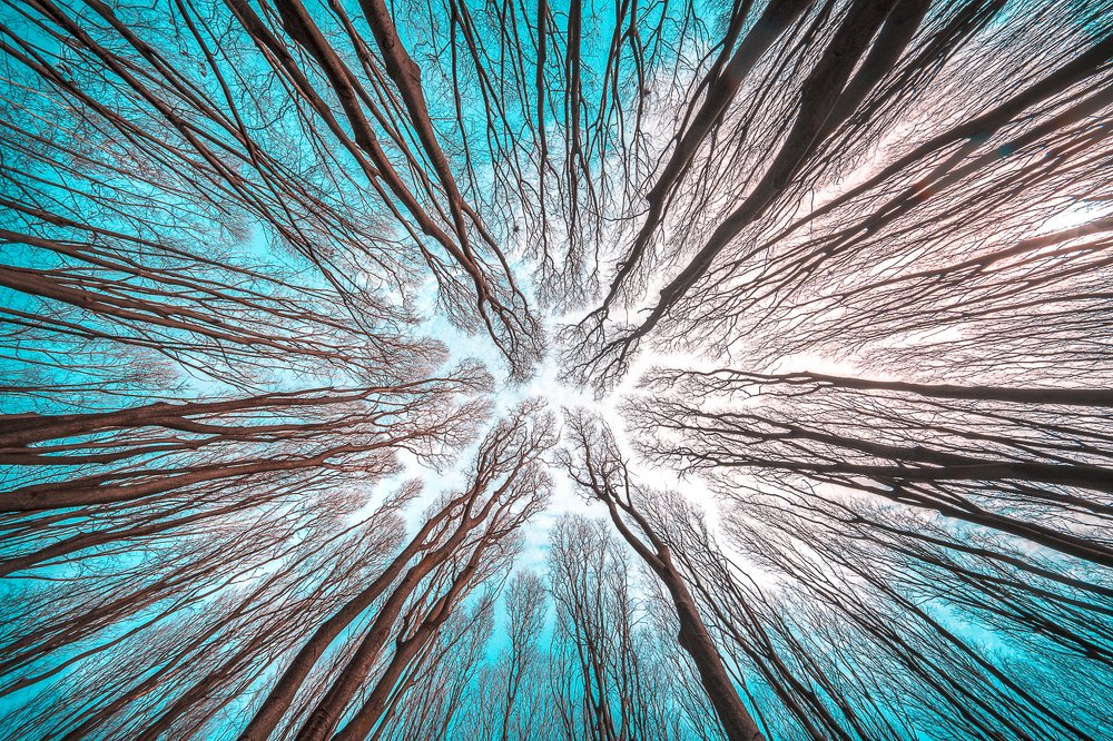 Il cielo sopra al Forlanini 2