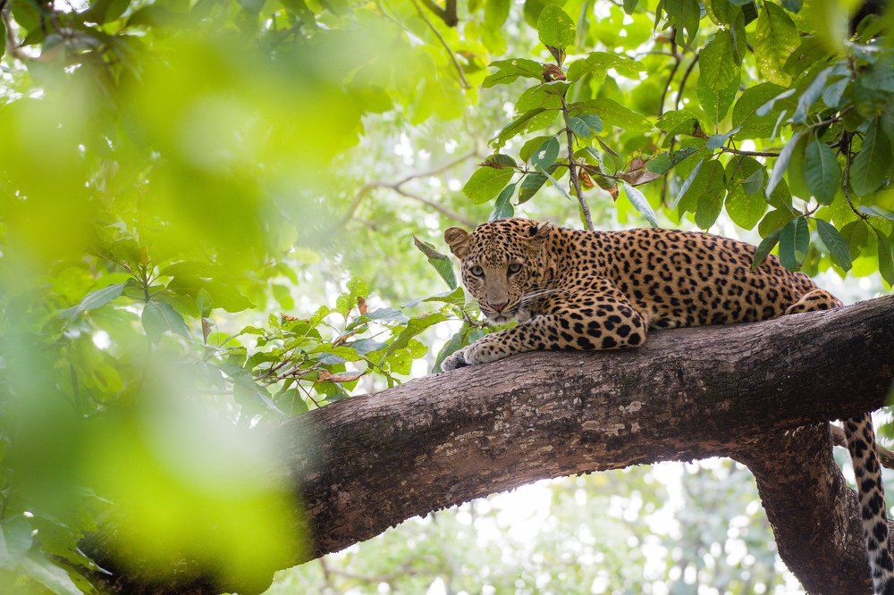 Photograph by Vivek Yadav