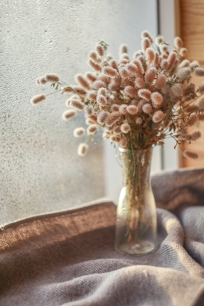 Photograph by Светлана Кавказская