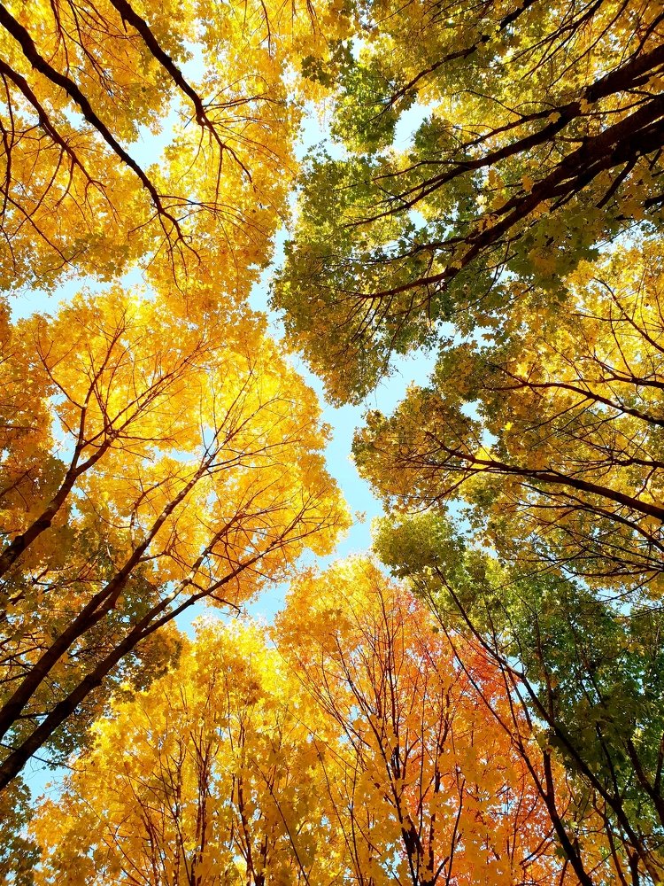 Photograph by Наталья Пагоцкая