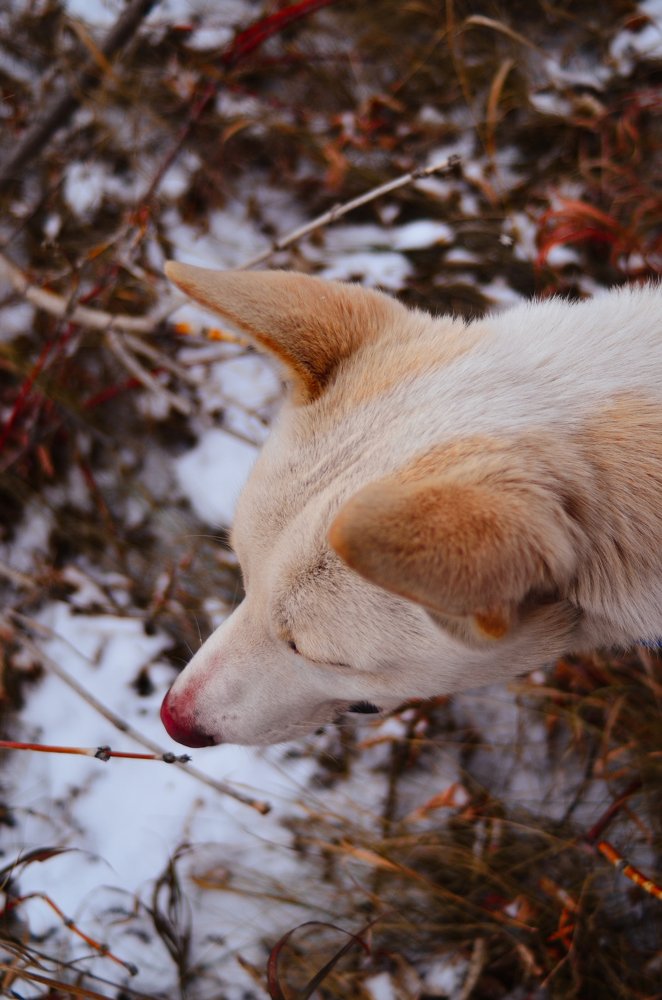 Photograph by Юрий Шмидт