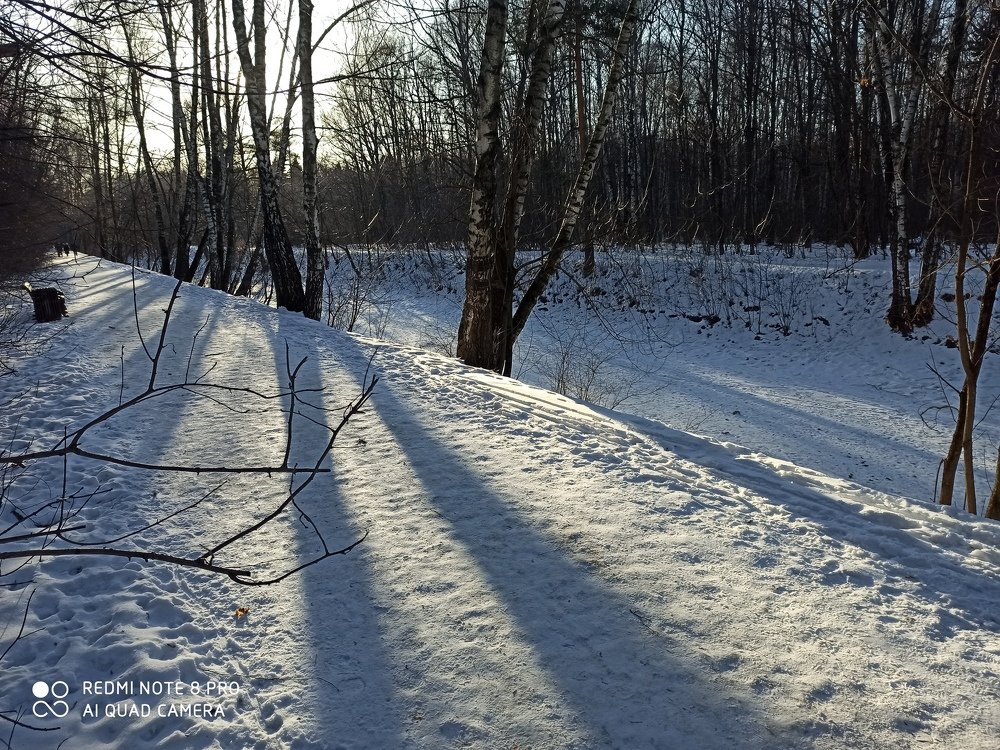 Photograph by Борис Каширин