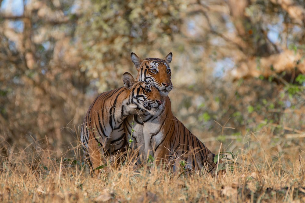 Photograph by Vivek Yadav