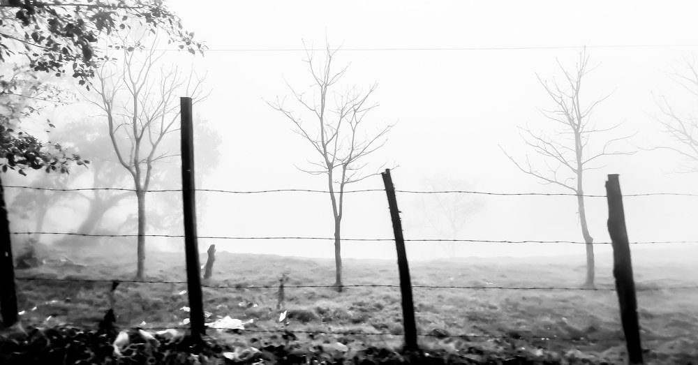 Photograph by Melany Aldana Benavente