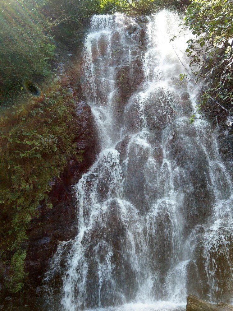 Photograph by Алла