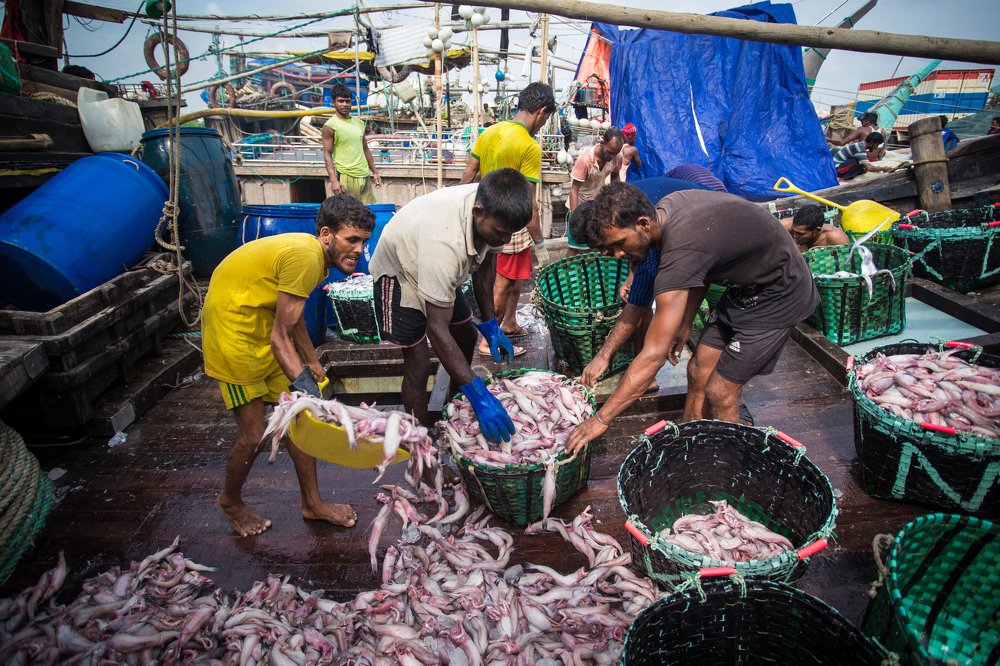 Photograph by Ashraful Islam