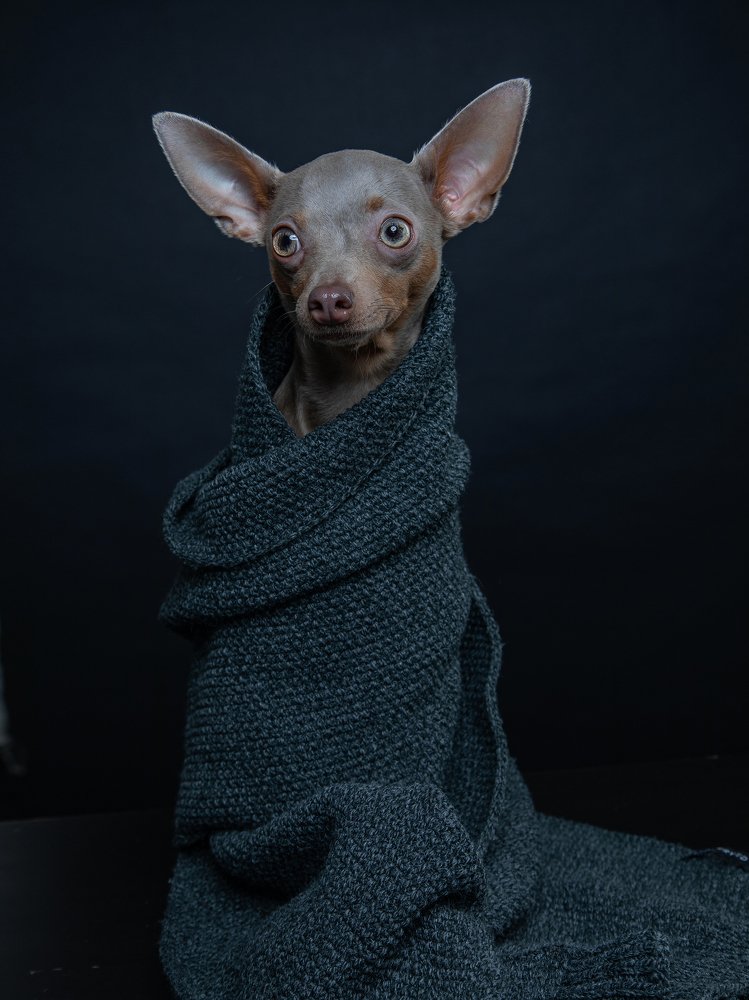 Photograph by Алла Чернова