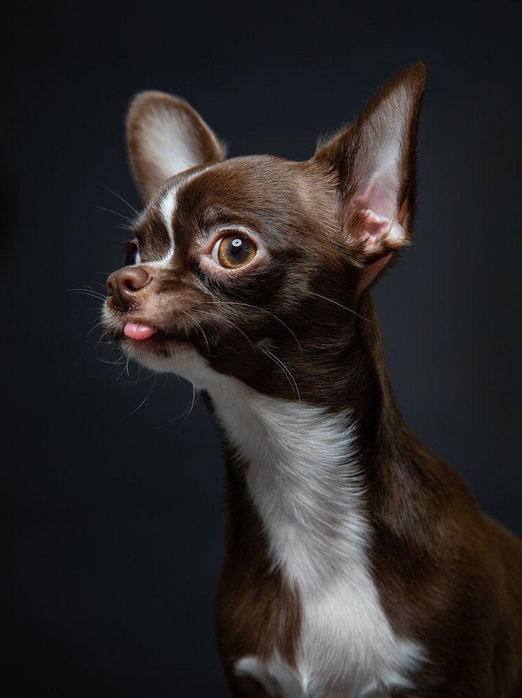 Photograph by Alla Vaysberg