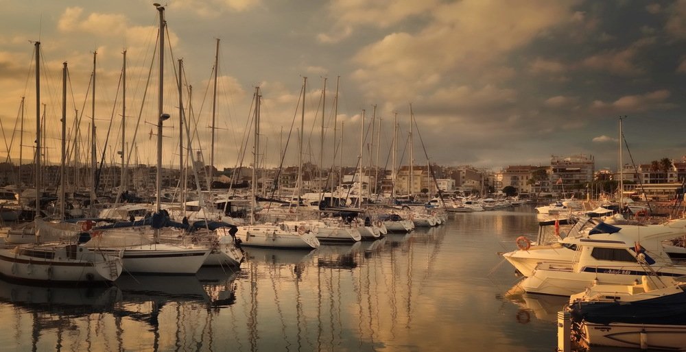 Фотография автора Анатолий Дауров