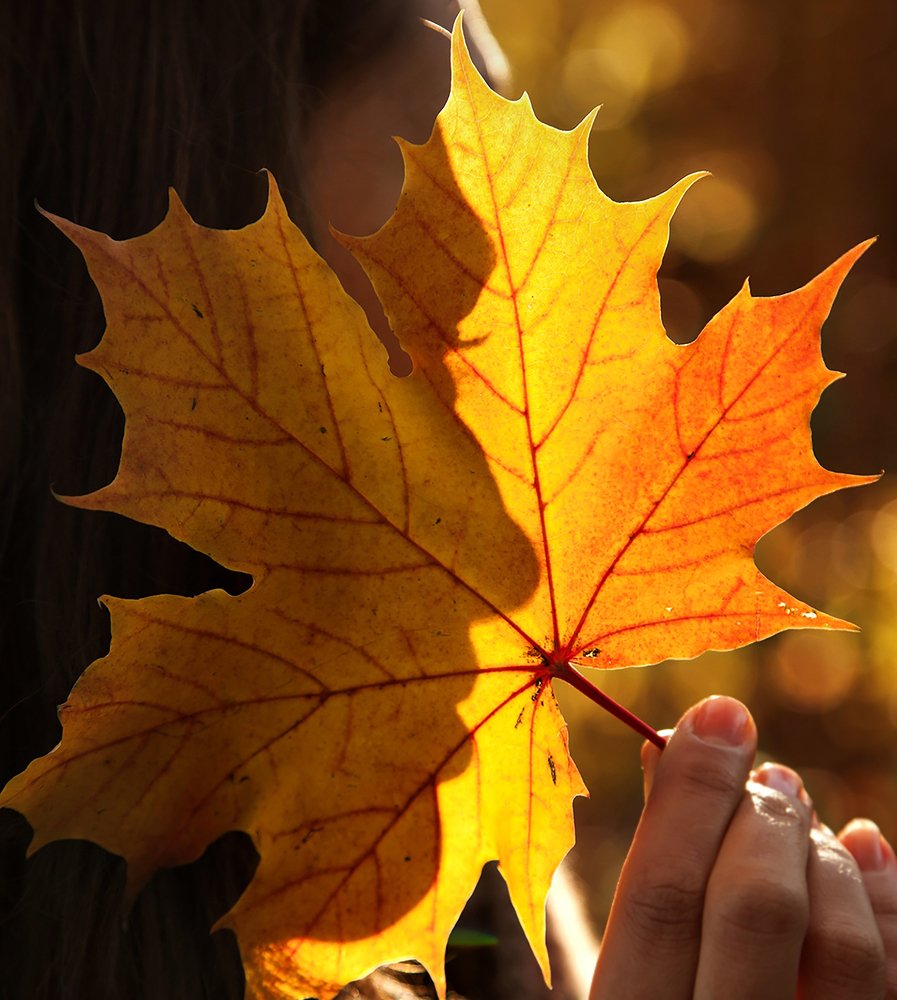 Photograph by Марина Изман