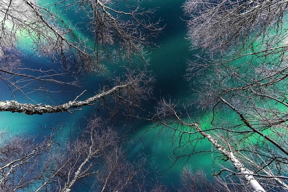 Photograph by Maria Tripoten