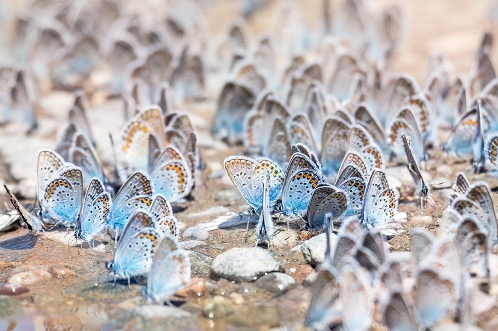 Photograph by Maria Tripoten