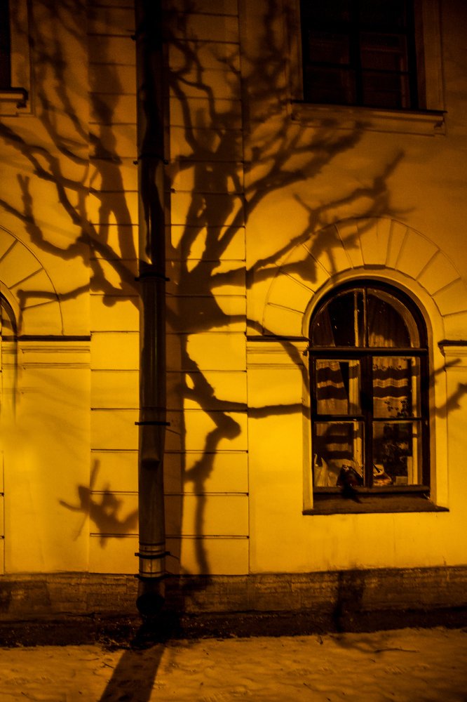 Photograph by Марина Изман