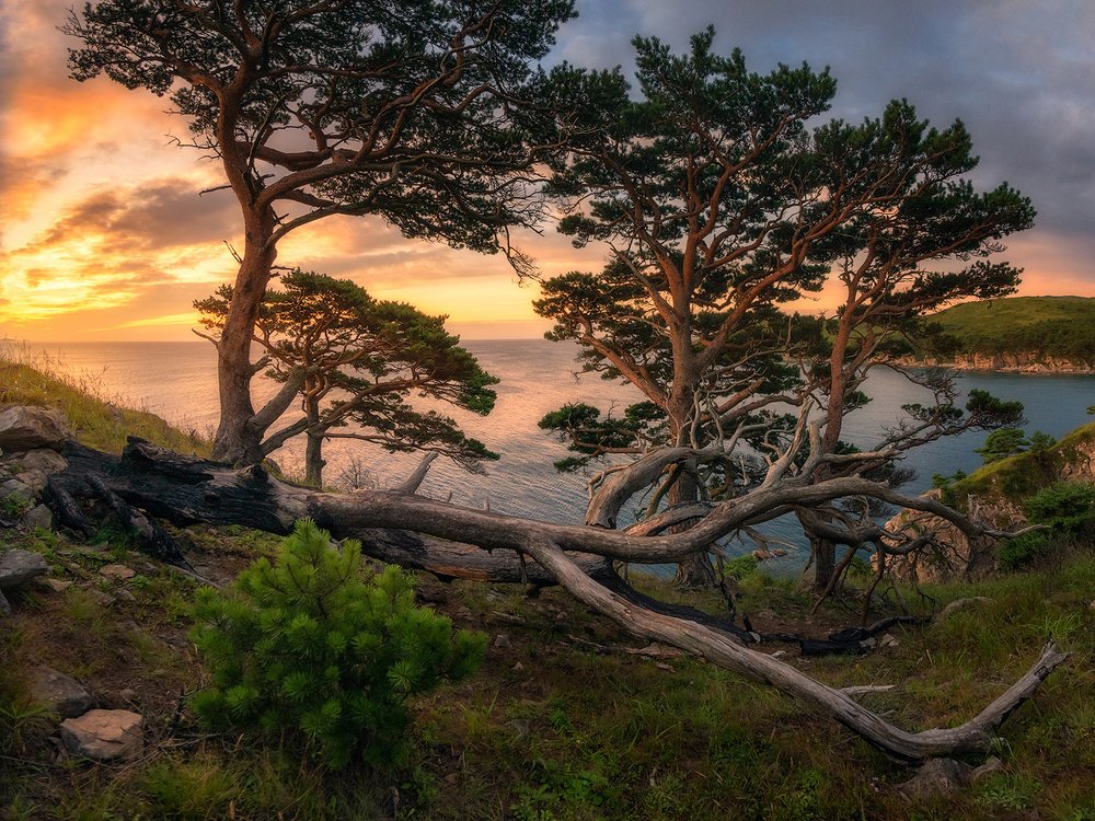 Photograph by Сорокин Алексей