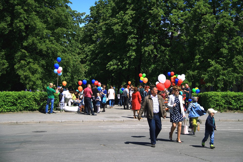 Photograph by эдуард петруша