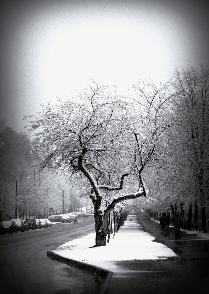 Photograph by эдуард петруша