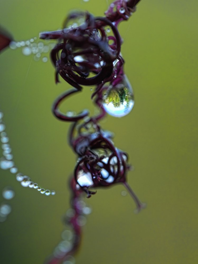 Photo #4287199