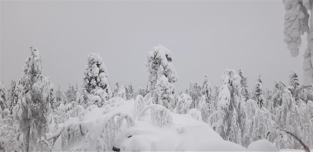 Настоящая зима.