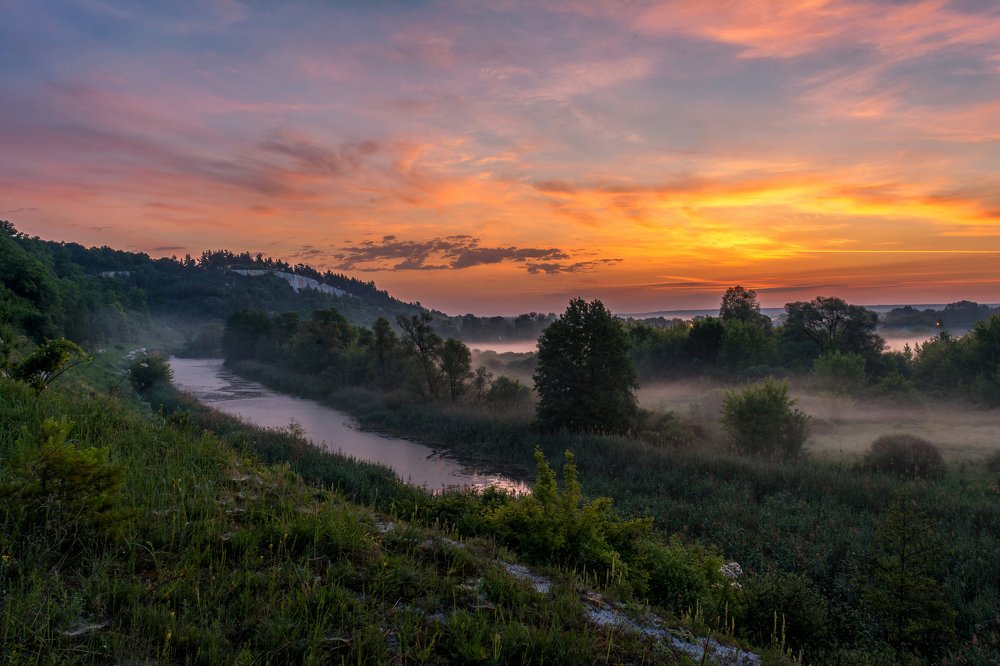 Дмитриевское городище