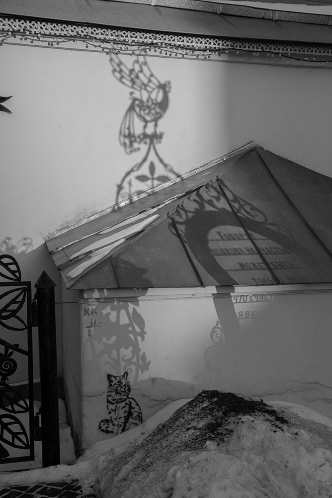 Photograph by Эдуард Шадров