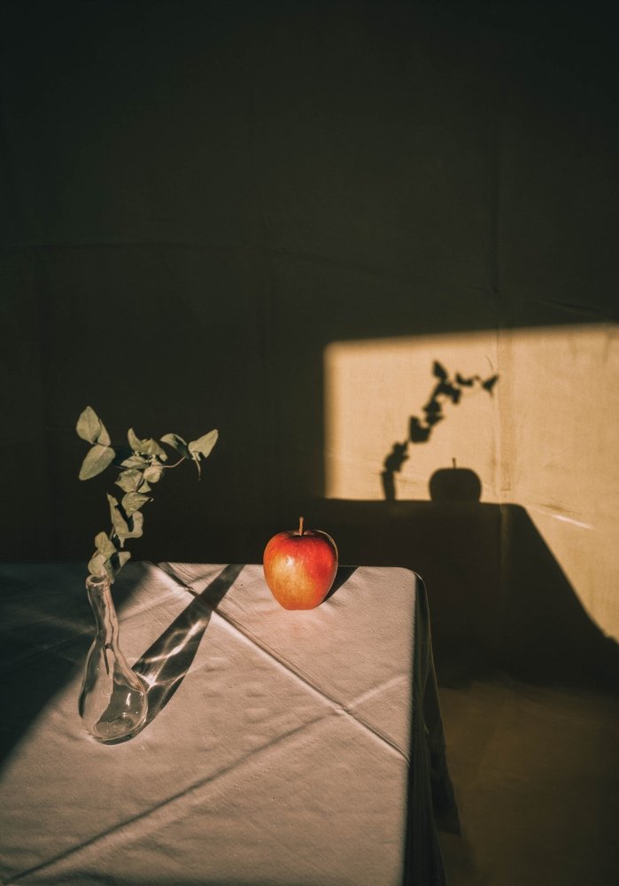 Photograph by Анастасия Чепурнова