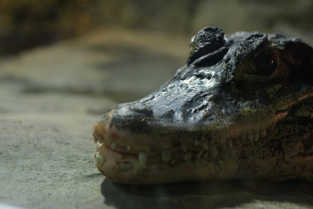 Photograph by Павел Стаценко