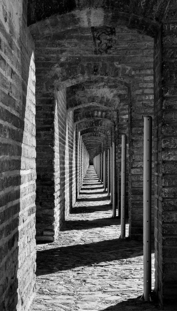 Photograph by  Reza Mohammadi