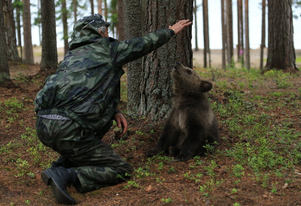 Фотография автора Юрий Кетель