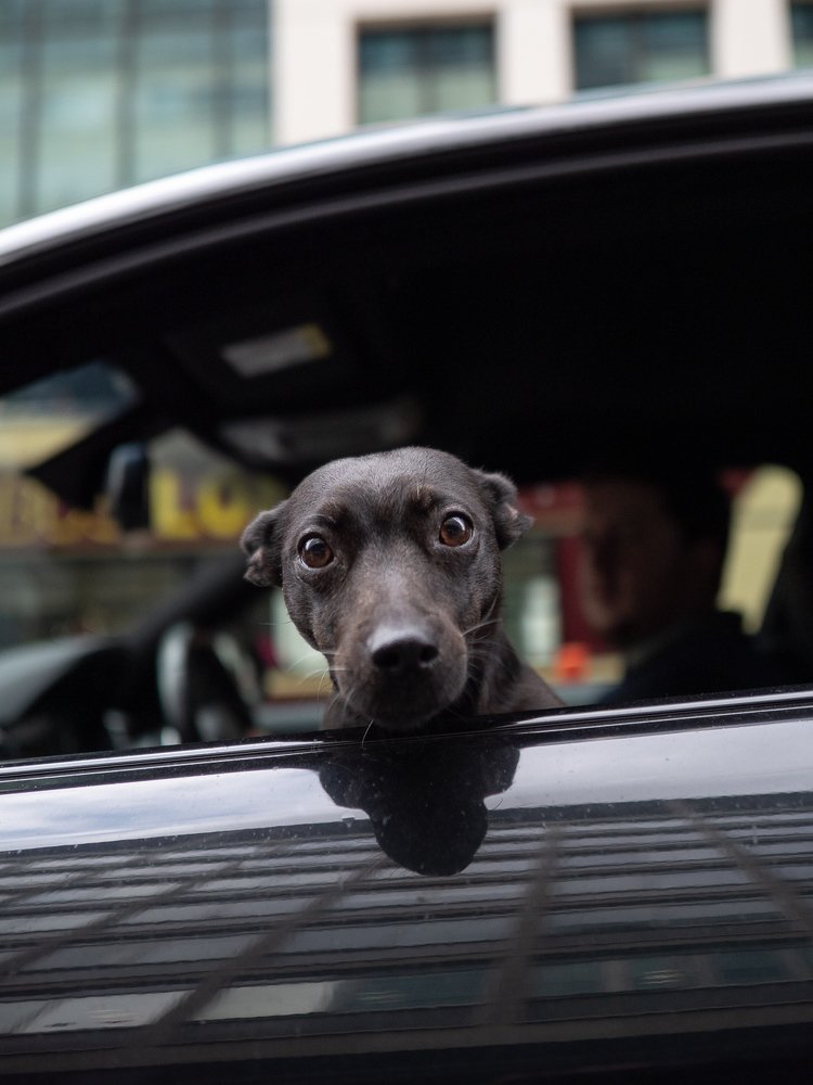 Photograph by Kowalski Tomasz