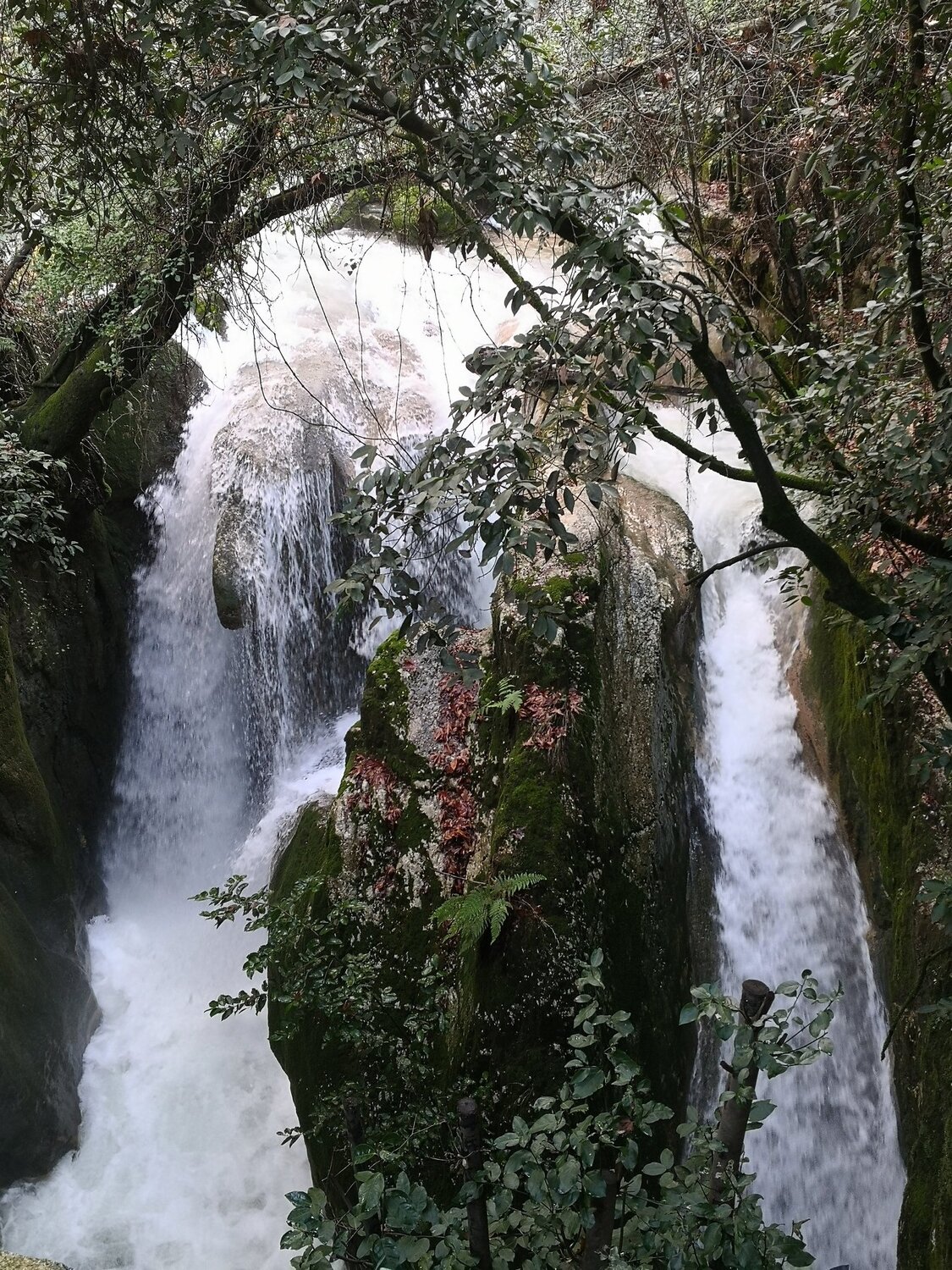 Photo #4287476