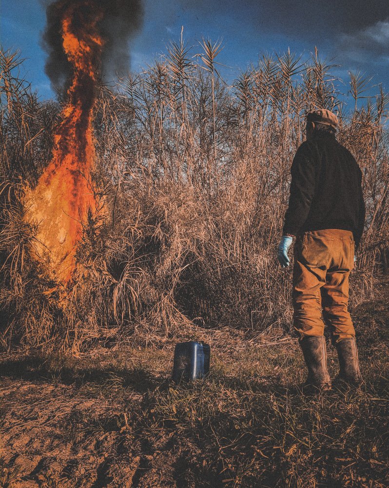 Photograph by Виктор Вандяк